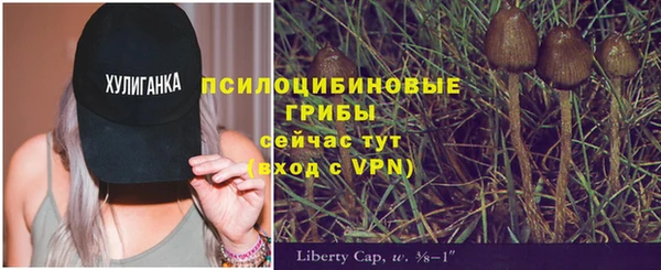 стафф Абинск
