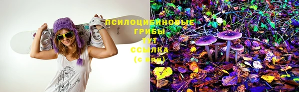 стафф Абинск