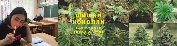 крисы Балашиха
